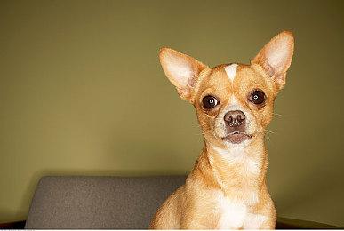 犯罪推理游戏《Forest Grove》上架Steam 不支持中文